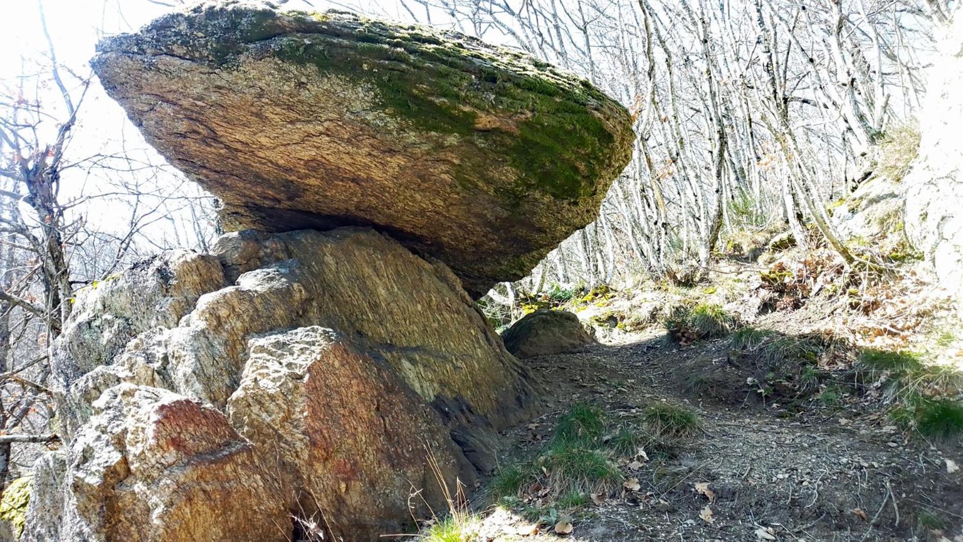 Gites Des Esselards Yzeron ภายนอก รูปภาพ