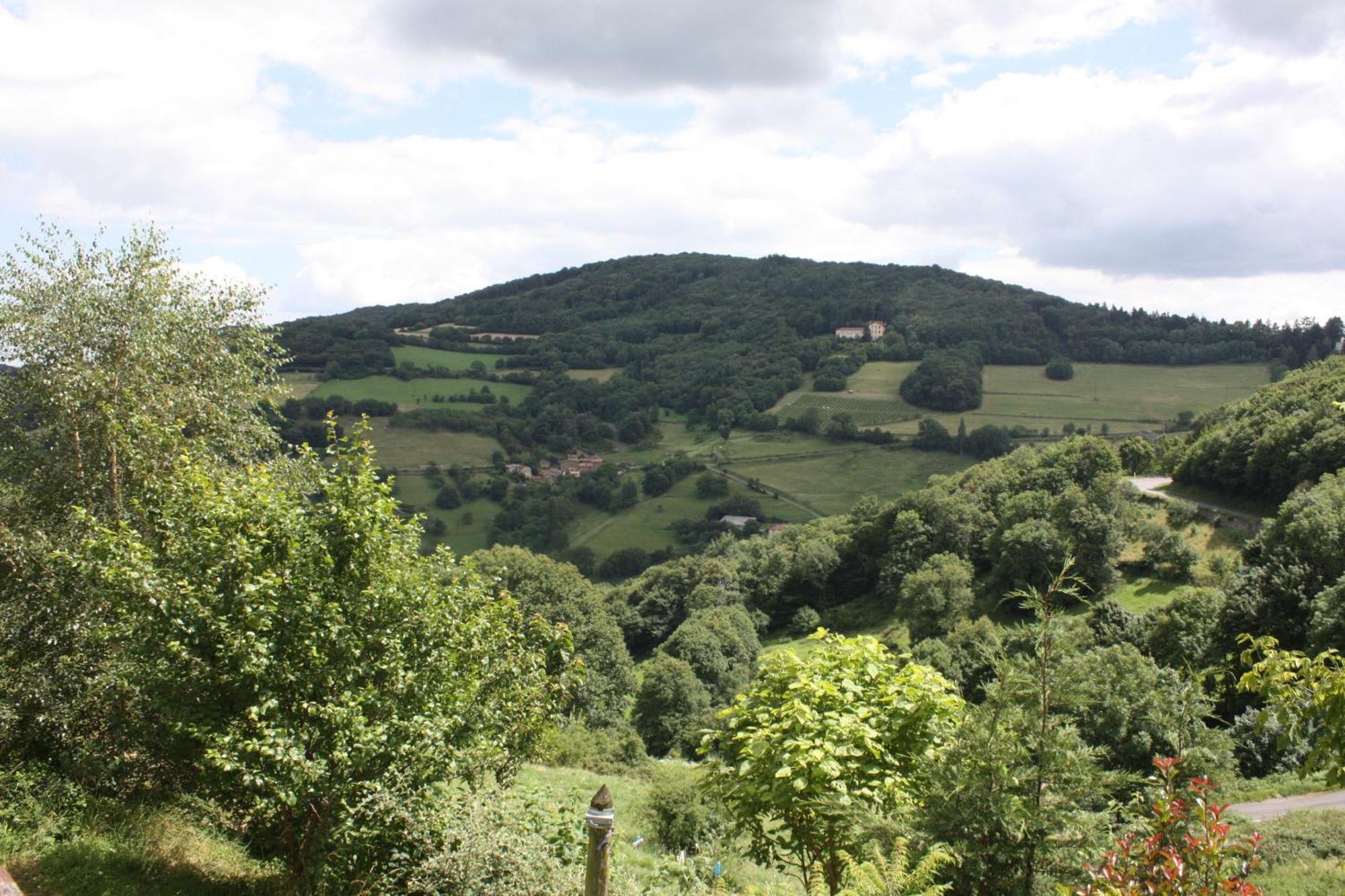 Gites Des Esselards Yzeron ภายนอก รูปภาพ